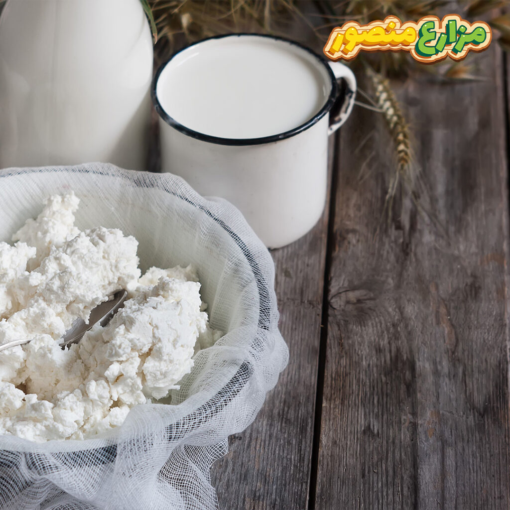 طريقة عمل الجبنة القريش بدون خل