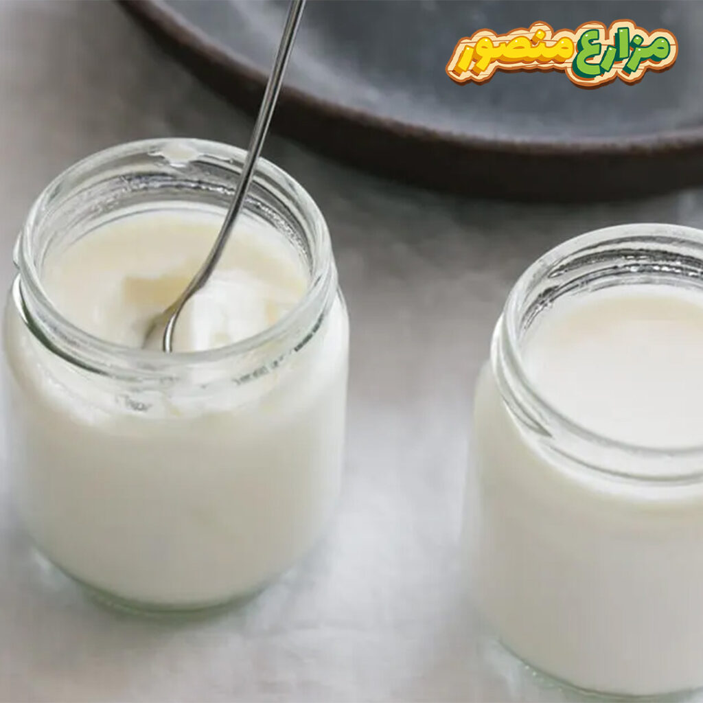 طريقة عمل الزبادي اللايت في البيت