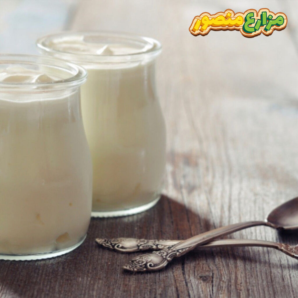 طريقة عمل اللبن الرايب بكل سهولة 
