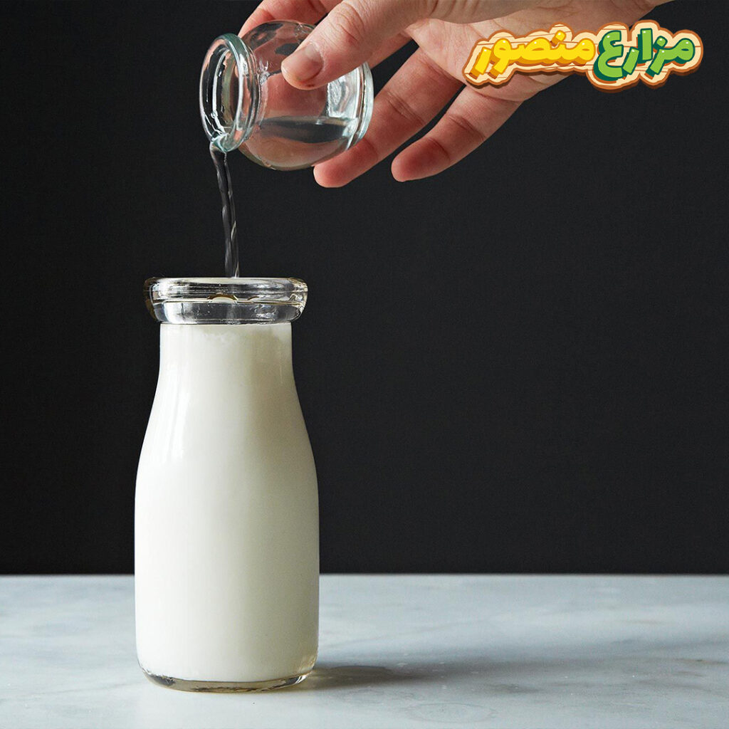  مكونات عمل اللبن الرايب زي المحلات
