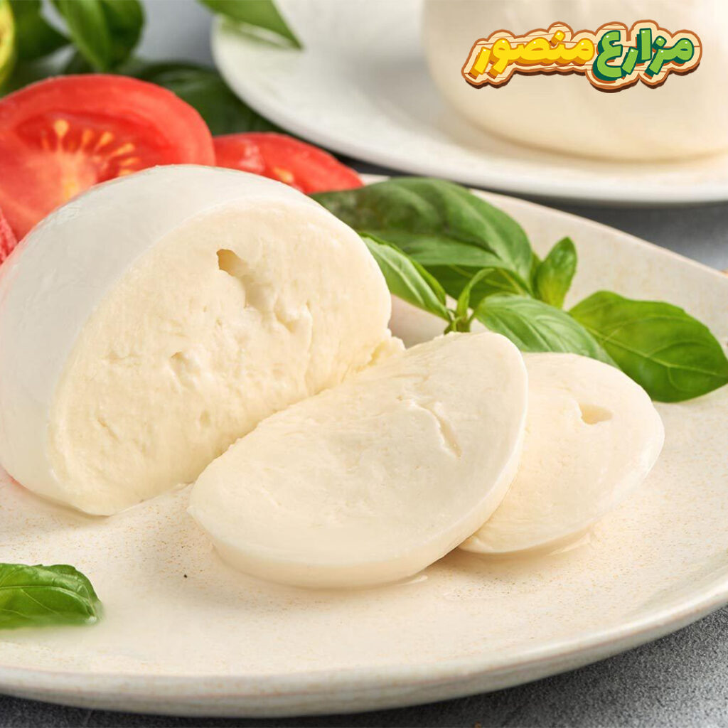 طريقة عمل الجبنة الموتزاريلا بدون لبن