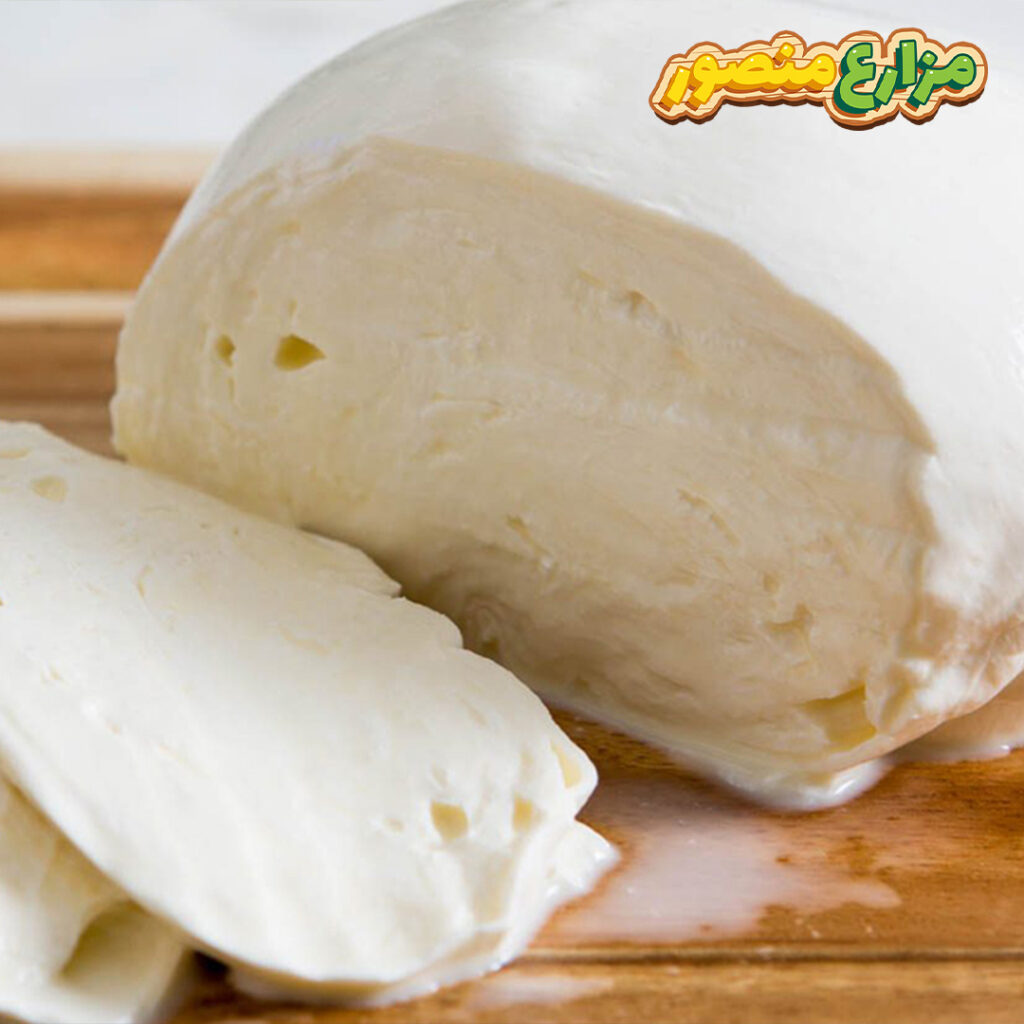 طريقة عمل الجبنة الموزاريلا باللبن البقري