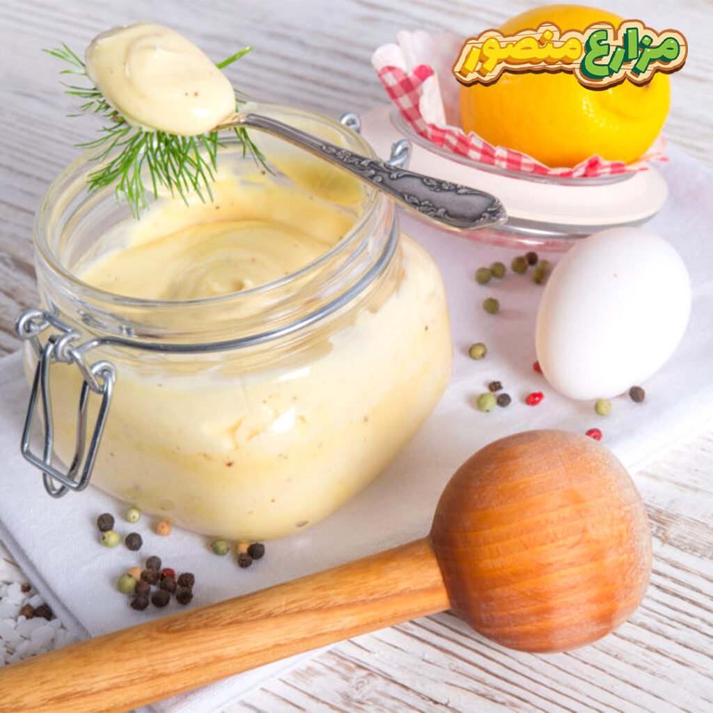 طريقة-عمل-المايونيز-في-البيت2