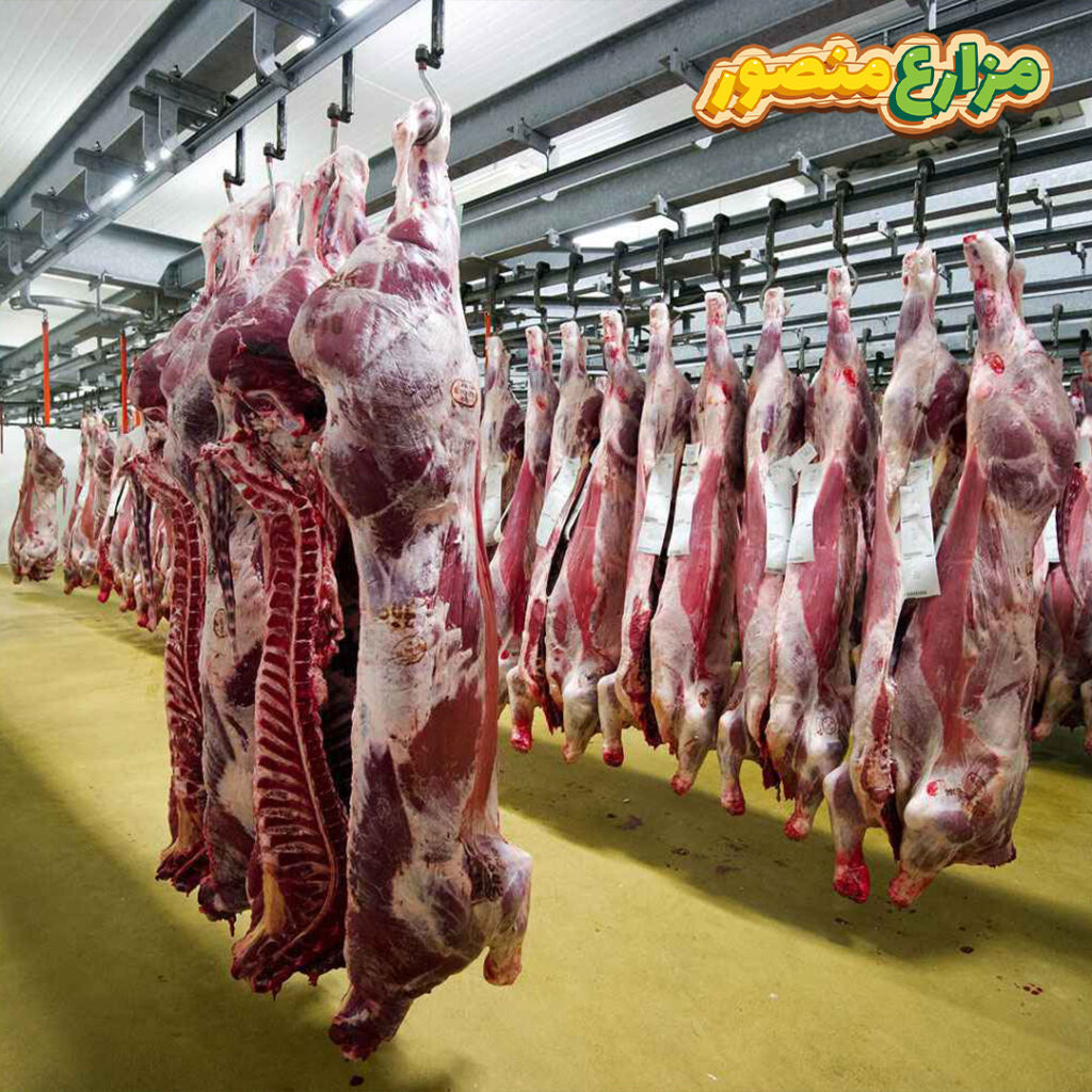 كيفية ذبح الاضحية وفقًا لأحكام الشريعة الاسلامية 