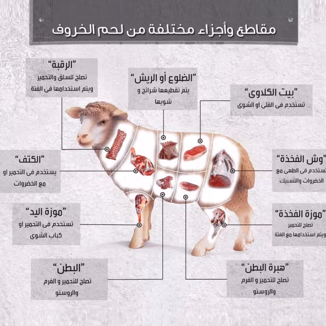  أفضل جزء في لحم الخروف للطبخ | ما أفضل قطعة لحم ضاني للشوي ؟ وما هي أفضل قطعة لحم للفتة ؟