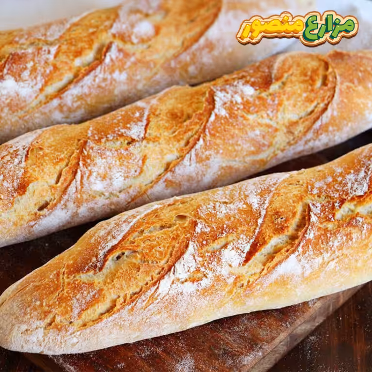 طريقة عمل الفينو في البيت بالصور | 9 أسرار لنجاح عجينة الفينو