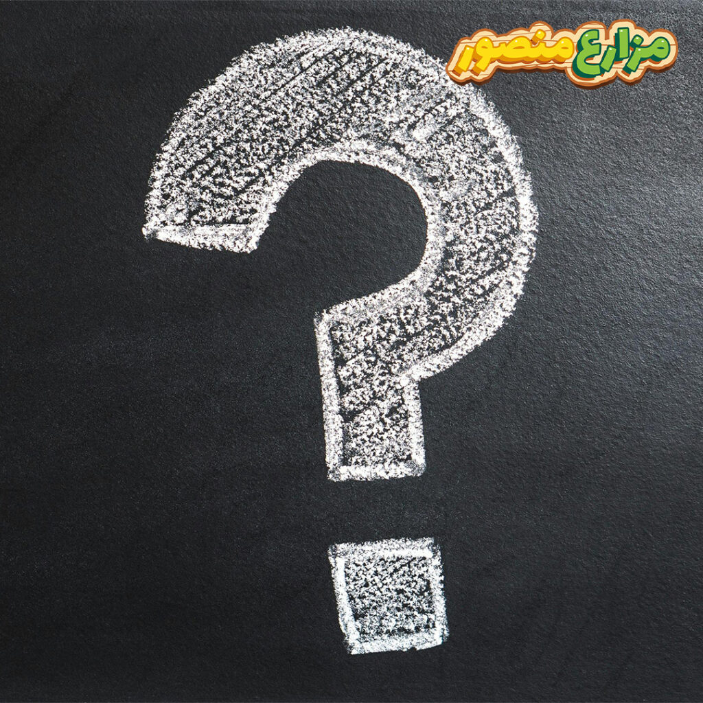 اخراج زكاة الفطر مال ام طعام