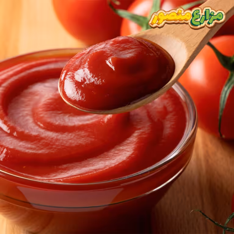 عمل-الكاتشب أفضل طريقة عمل الكاتشب مثل الجاهز في البيت بمكونات بسيطة ومتوفرة في كل بيت