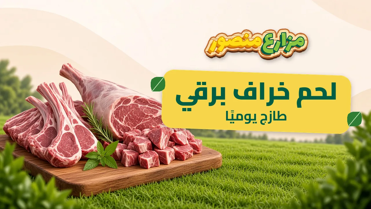 Mansour Farms
