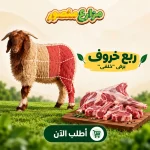 small banner square 2.jpgmuhamed